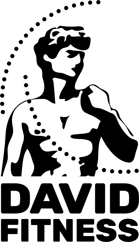 David Fitness Wiesbaden Logo